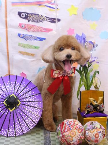 20240525バディくん